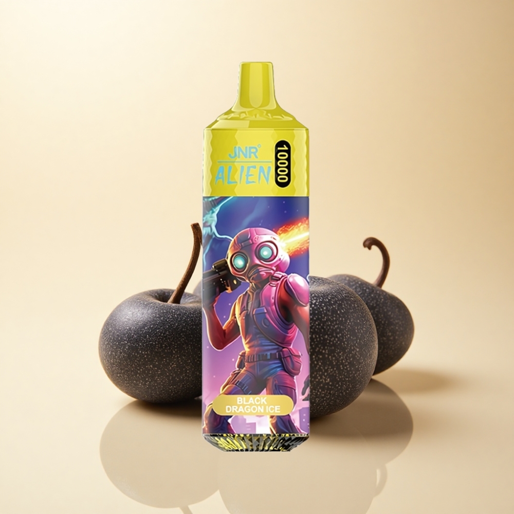 JNR Alien 10000 Puffs 850mAh Type-C Svart Drage Is