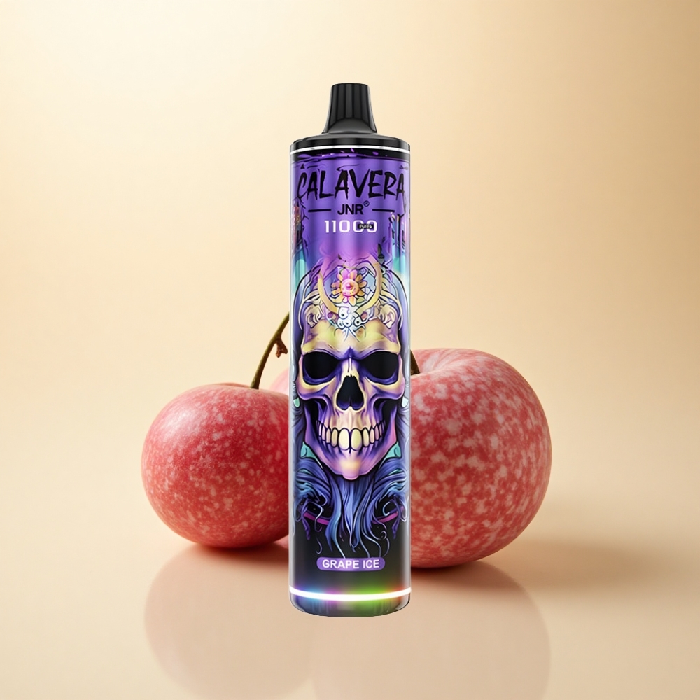 JNR Calavera 11000 Puffs Type-C 21ml Drueis