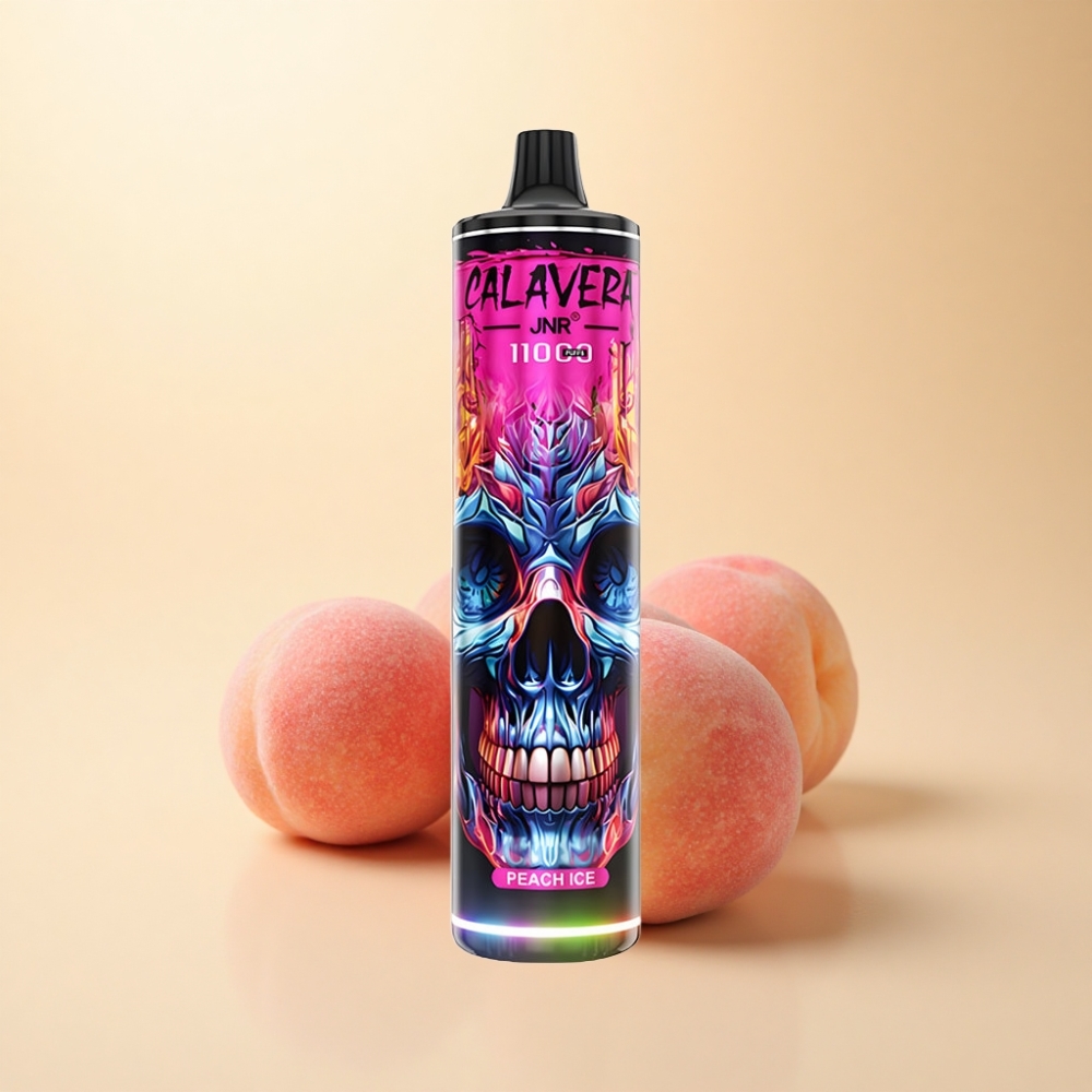 JNR Calavera 11000 Puffs Type-C 850mAh Fersken Is
