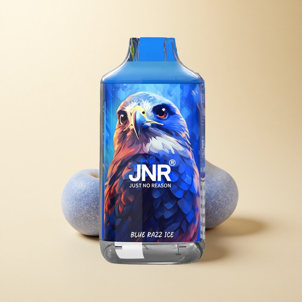 JNR Falcon 16000 Puffs 850mAh Dual Mesh Blåbringebær Is