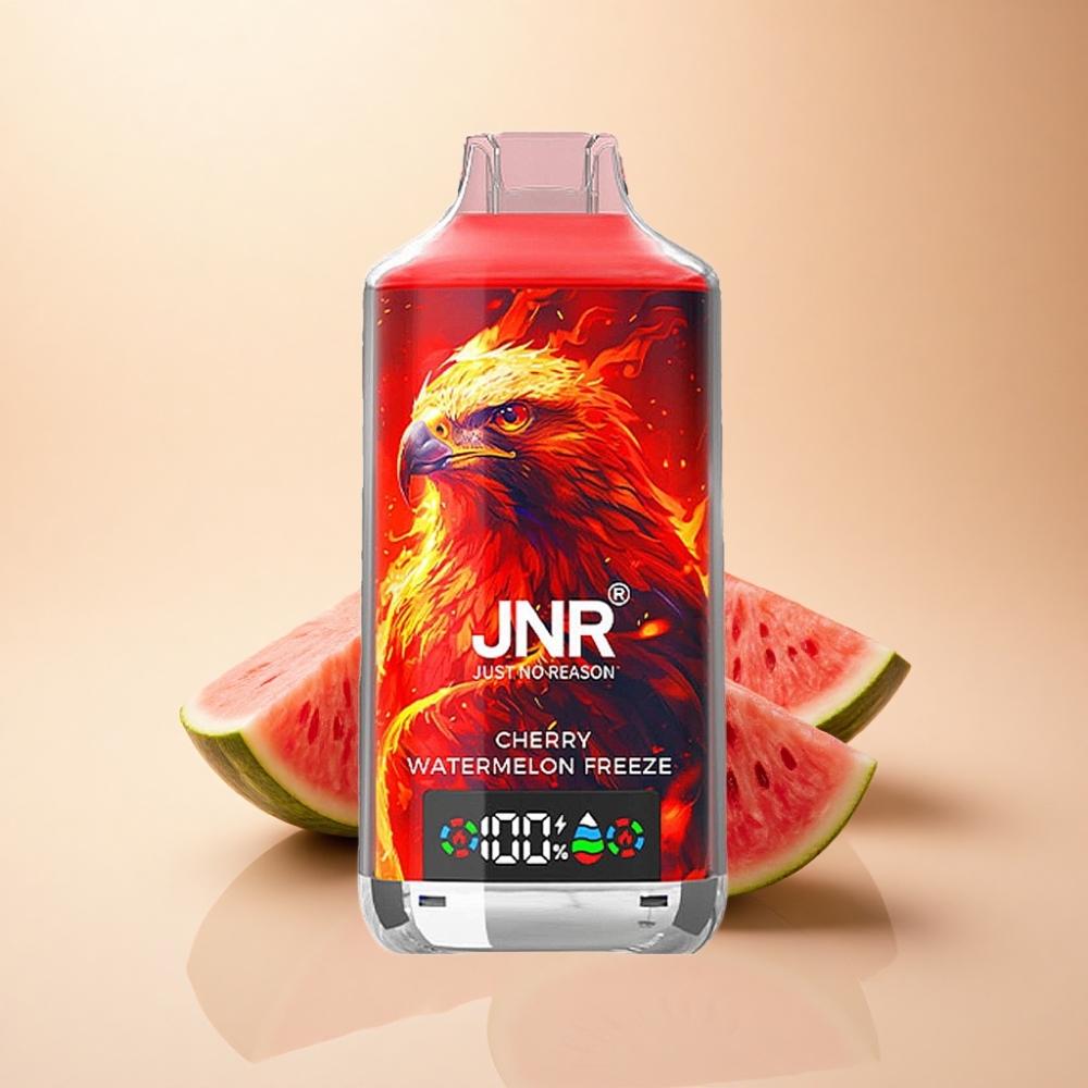 JNR Falcon X 18000 Puffs 750mAh 24ml Kirsebær Vannmelon Frost