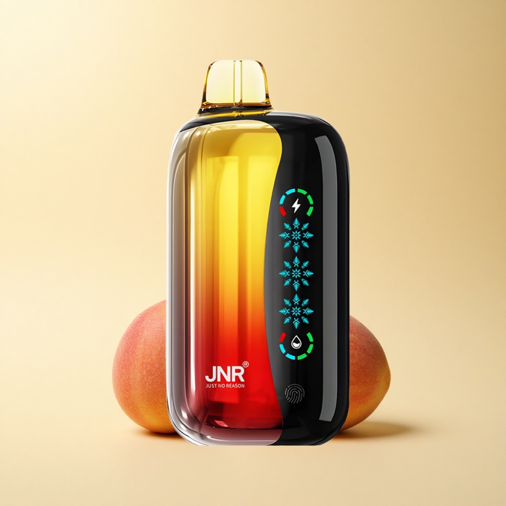 JNR Flex Ice 21000 Puffs Tilpassbar Luftstrøm Fersken Mango Ananas