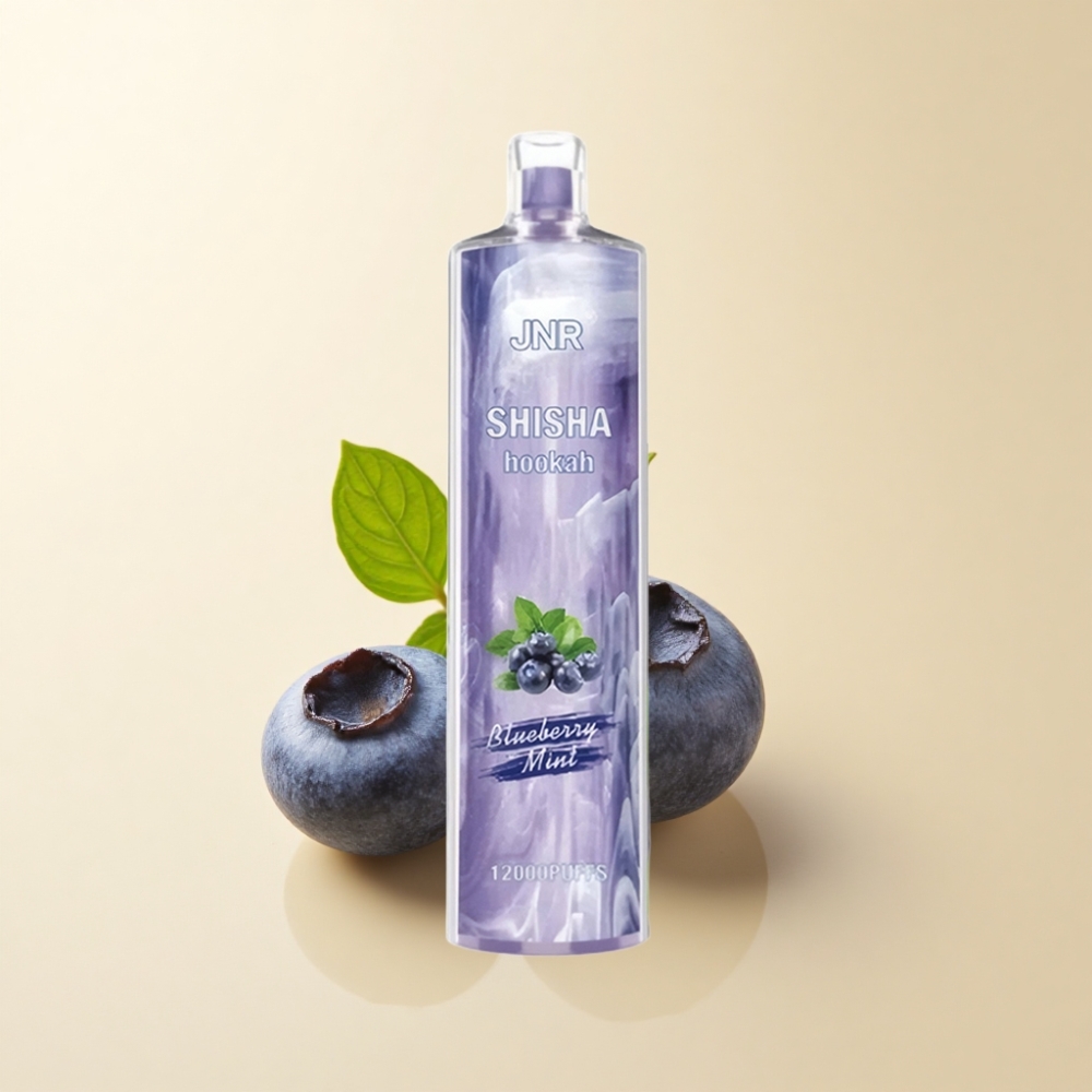 JNR Shisha Hookah 12000 Puffs 24ml Blåbær Mynte