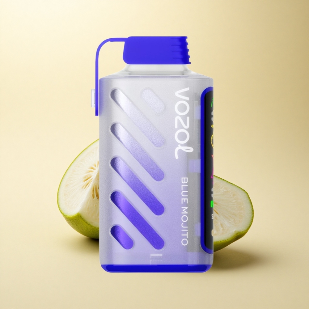 VOZOL Gear Power 20000 Puffs Dual Mesh Coil Blå Mojito