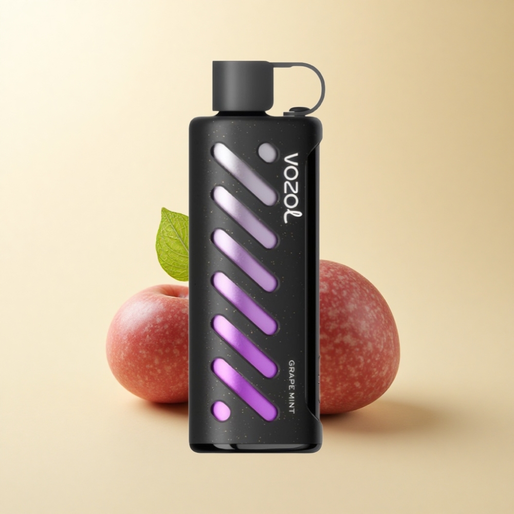 VOZOL Gear Shisha 25000 Puffs Druemynt S.i.L.C Tech 1000mAh