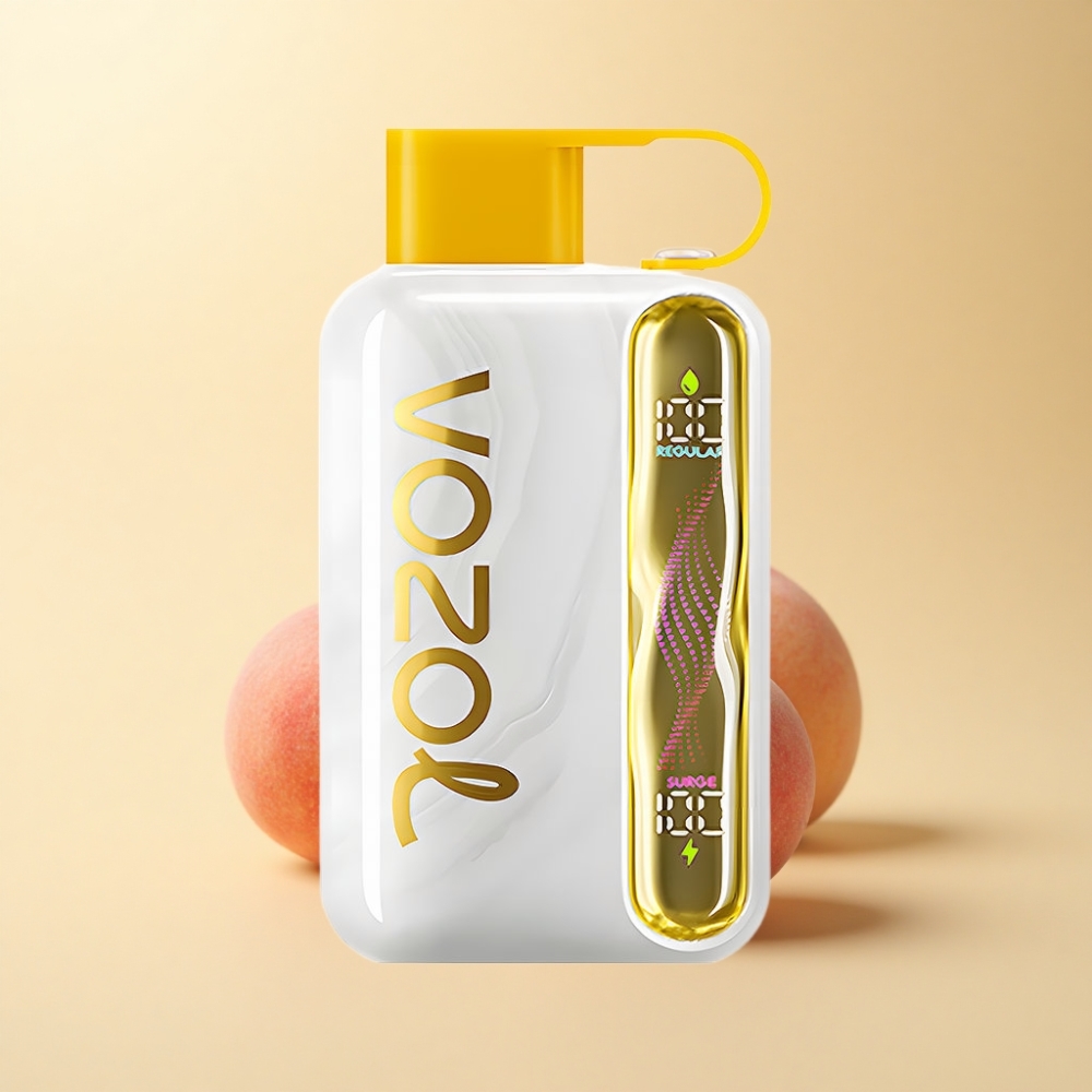 VOZOL STAR 40000 Puffs 1000mAh Type-C Mango Fersken