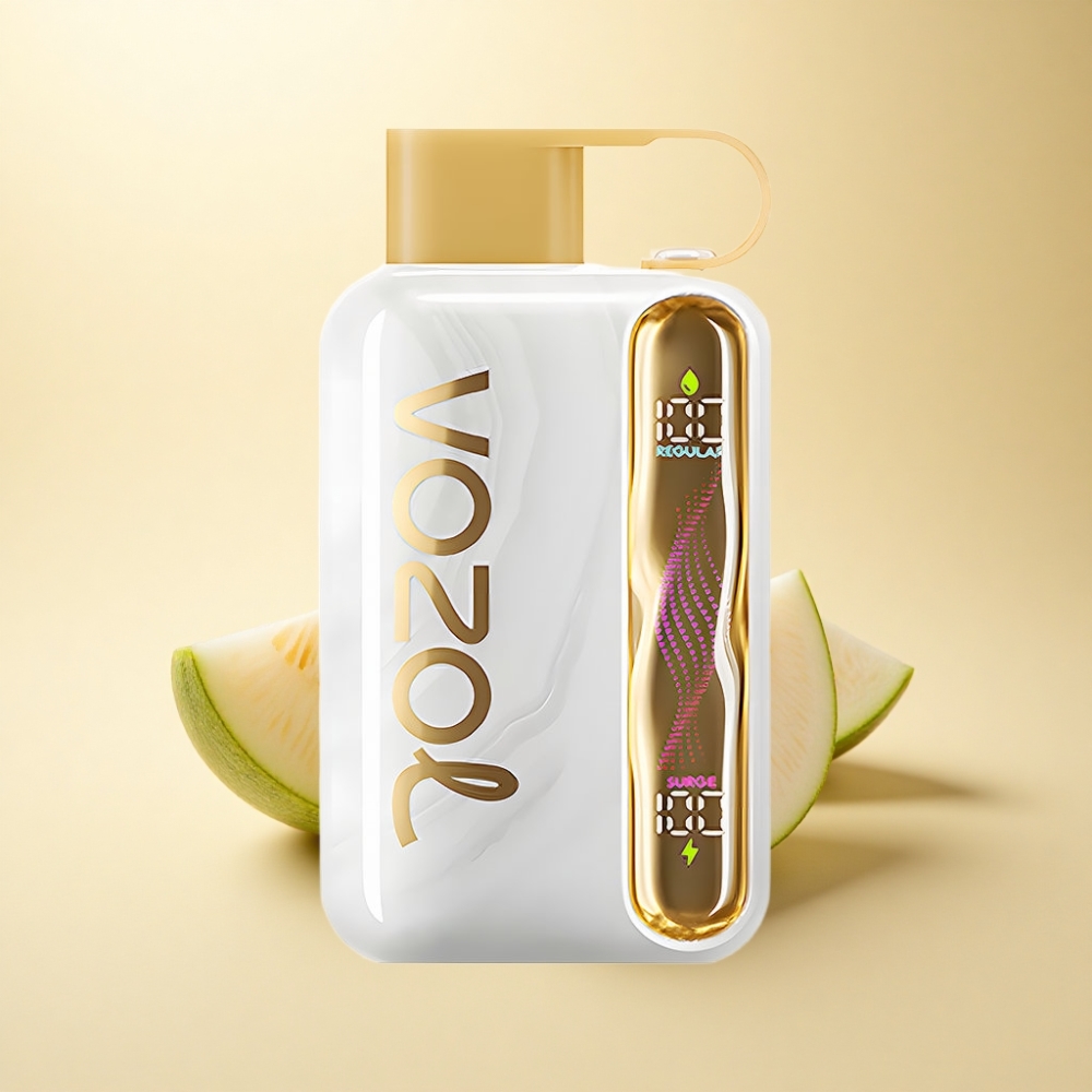 VOZOL STAR 40000 Puffs 1000mAh Type-C Melon Is