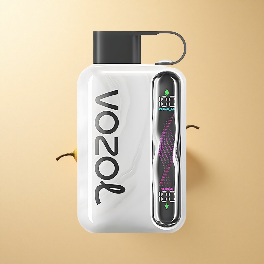 VOZOL STAR 40000 Puffs 1000mAh Type-C Tobakk