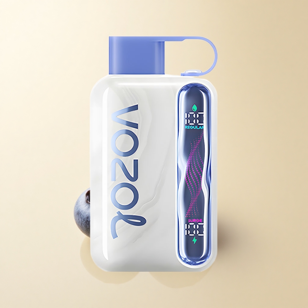 VOZOL STAR 40000 Puffs Type-C Blåbær Mynte