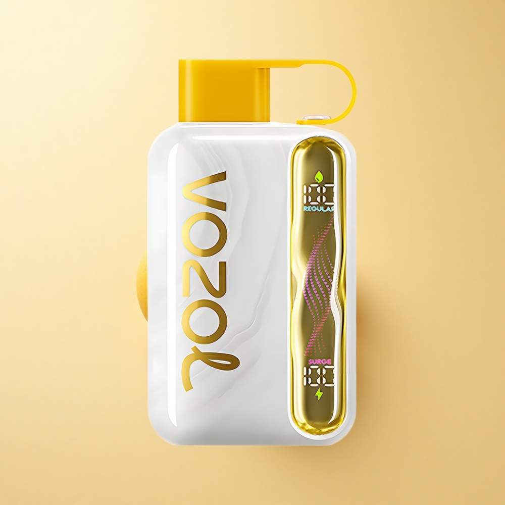 VOZOL STAR 40000 Puffs Type-C Mango Is
