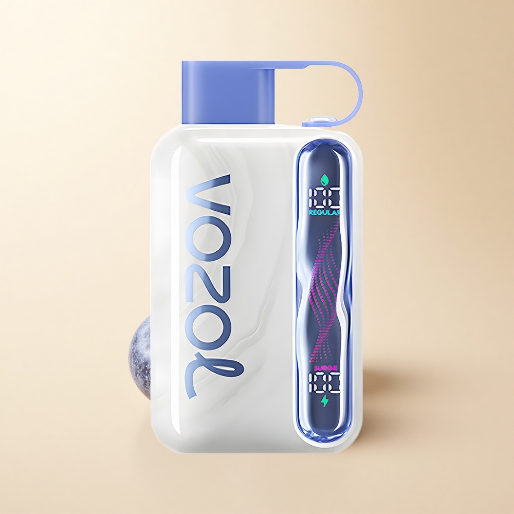 VOZOL STAR 40000 Type-C Blåbær Is