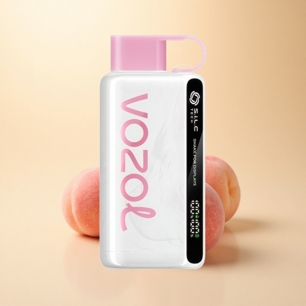 VOZOL STAR 9000/12000 Shake Display Fersken Is