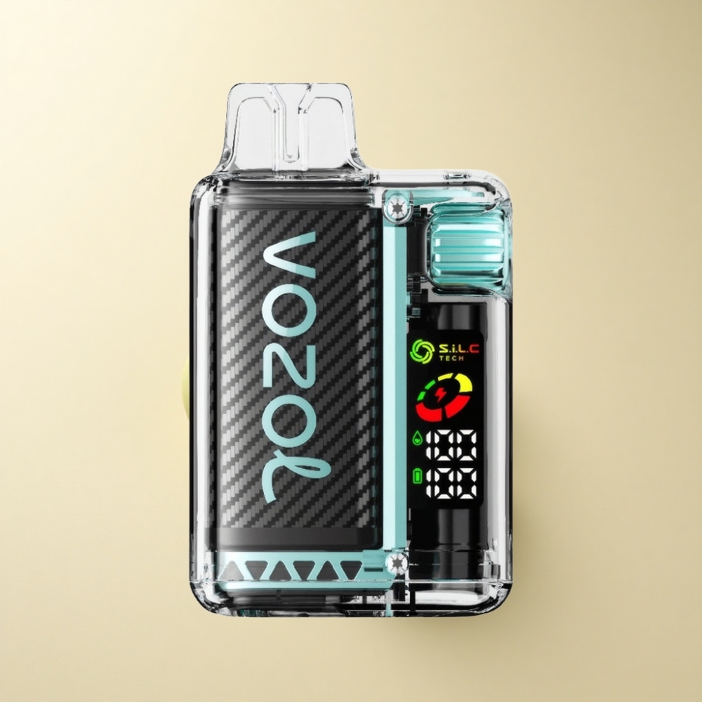 VOZOL Vista 20000 Puffs 650mAh Miami Mynte OLED Skjerm